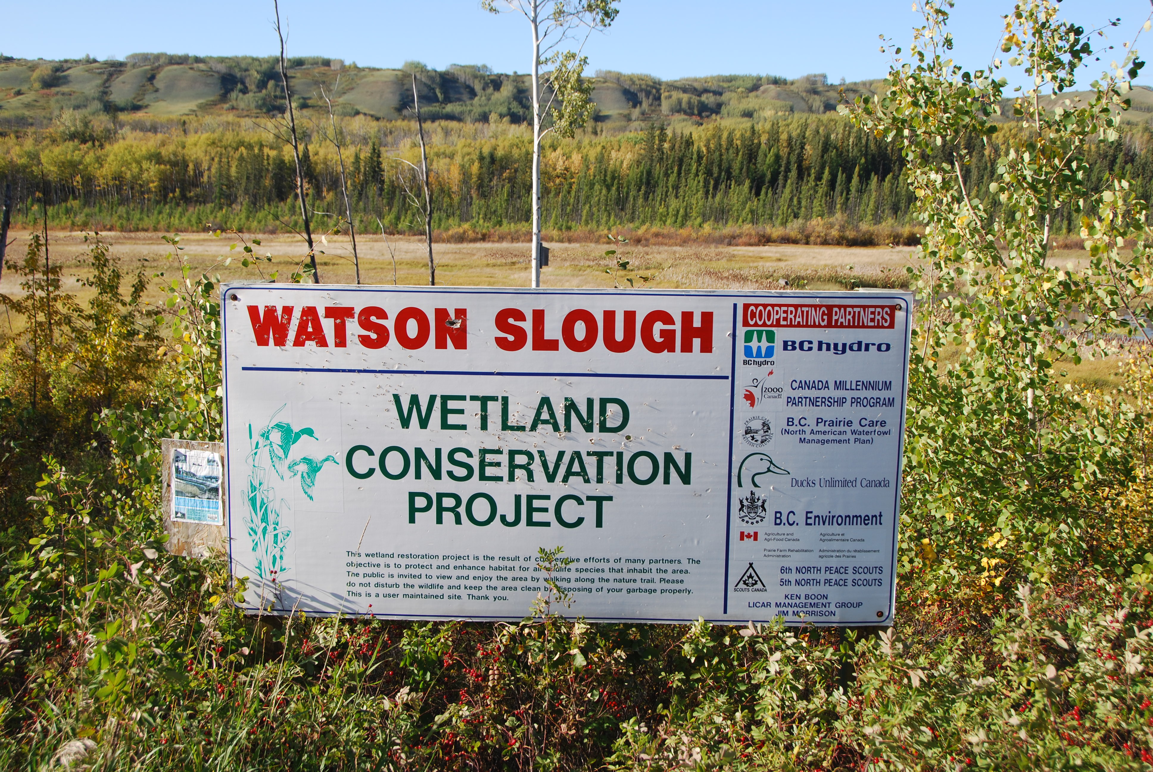 Watosn Slough 