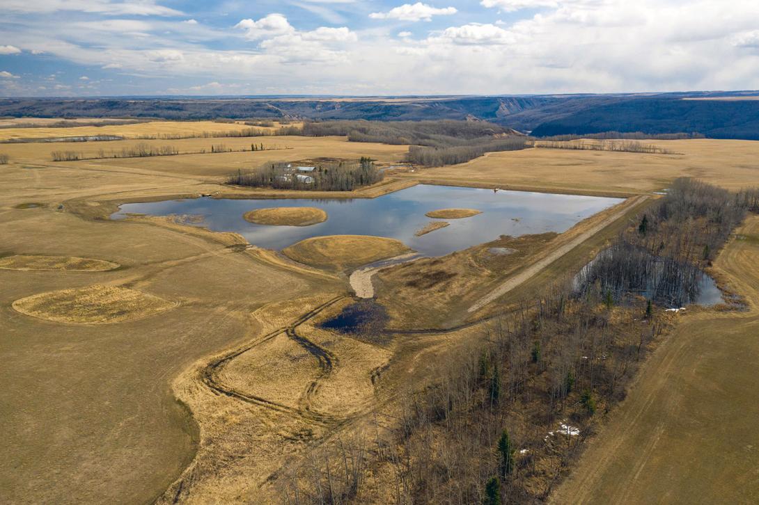 The Golata Creek wetlands main basin. Wetlands provide hundreds of species with safe spaces to eat, sleep and raise their young. They also help to remove pollution, as well as regulate and clean water in the ecosystem. | April 2021