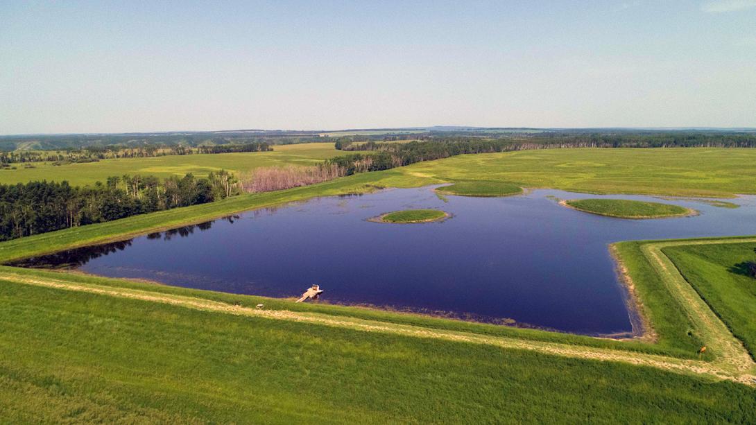 The largest of several ponds totalling 50 hectares at the Golata Creek wetland. | June 2022