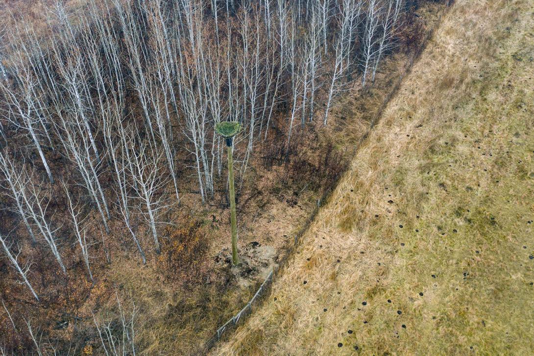 One of 42 artificial nesting structures intended to support bald eagle nesting near the future reservoir. | October 2022