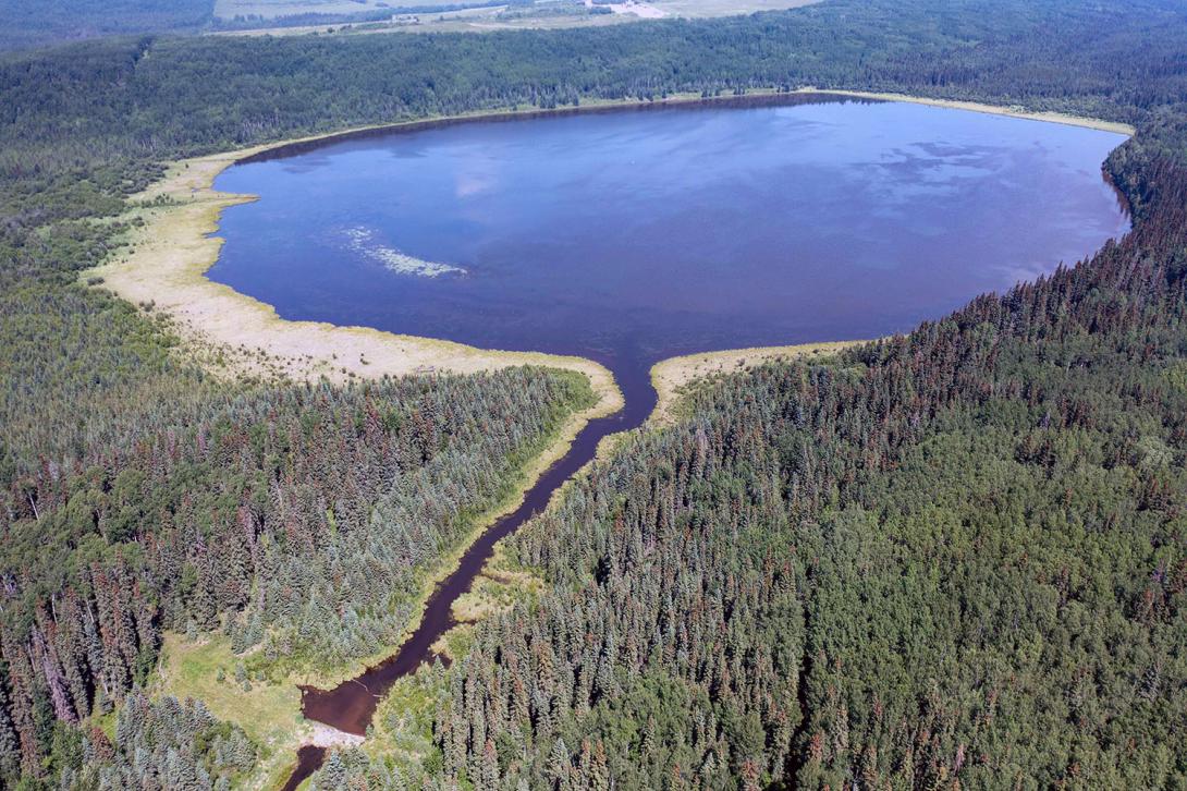 The Scott Lake wetland, 37 km south of Fort St. John, is the latest wetland restoration for the Site C project. It was originally built by Ducks Unlimited in 1988. | June 2023 