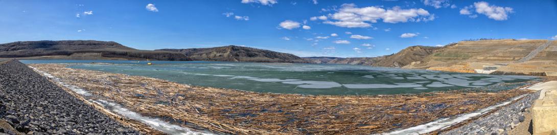 Woody debris was locked in snow and ice through the winter. | April 2025