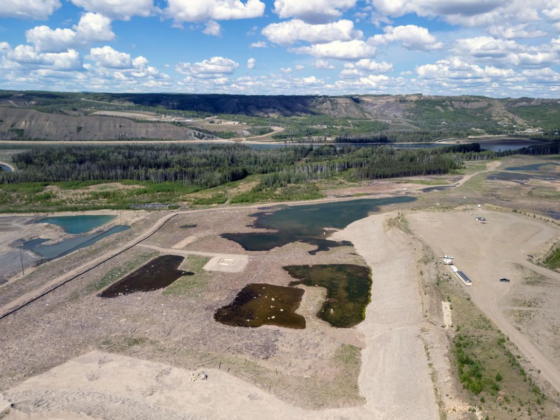 Wetland basins two and three in Area A are starting to revegetate. | May 2025