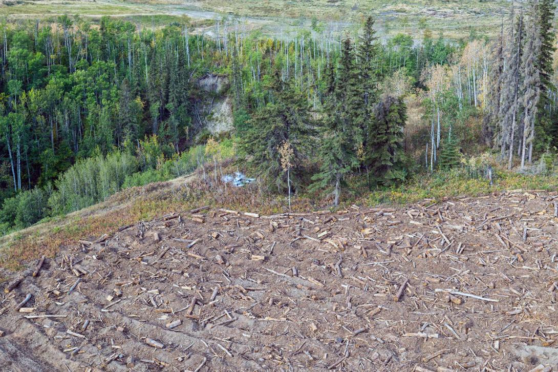 Drone seeding replaces hand seeding. | September 2025